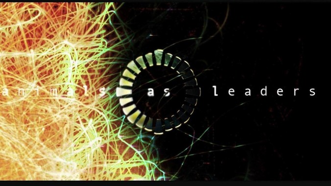 LCD党真的只是少部分人吗？